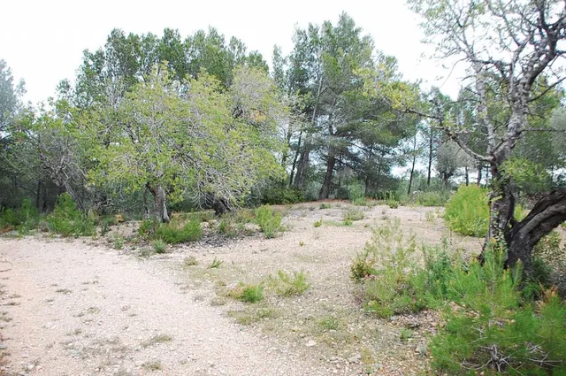 Finca rústica en venta - Afueras del pueblo — 5