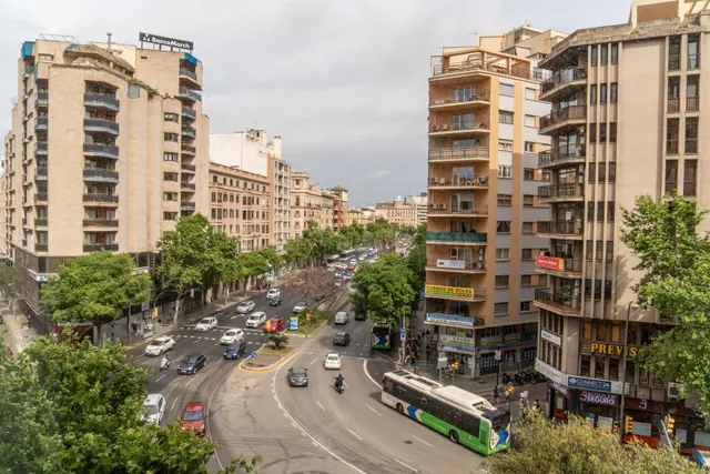 Oficina en alquiler en Torre de las Avenidas, Palma de Mallo