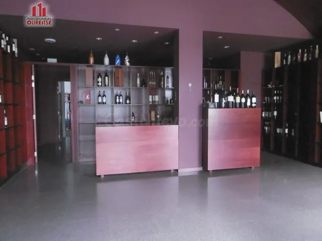 AMPLIO LOCAL COMERCIAL ACONDICIONADO EN LA VALENZÁ. - foto 2