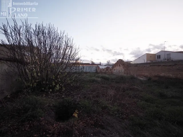 ¡¡OFERTA ULTIMA HORA!! SOLAR EN ARGAMASILLA DE ALBA DE 326 M - foto 4