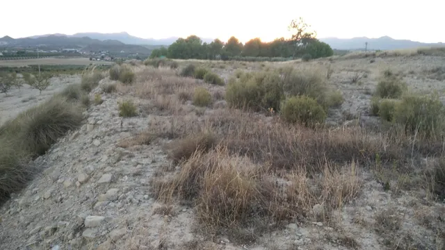 Parcela en venta - Calasparra - foto 3
