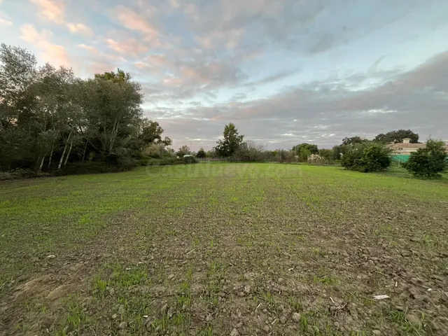 Parcela en mesas del corral - foto 2
