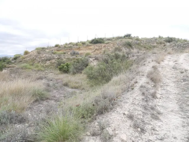 TERRENO RÚSTICO EN LA ZONA DE LA ZAFRA DE MONÓVAR — 2