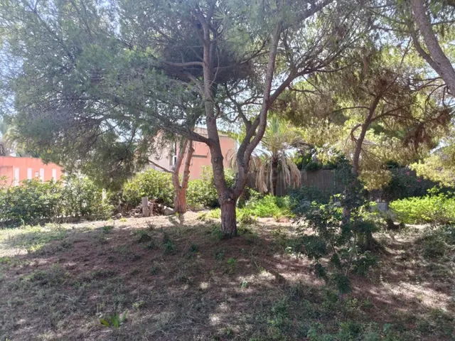 Parcela en venta - Cabo Roig — 5