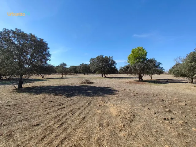 Parcela en tres arroyos totalmente vallada con pozo, portera de entrada y  2 acometidas de luz — 21