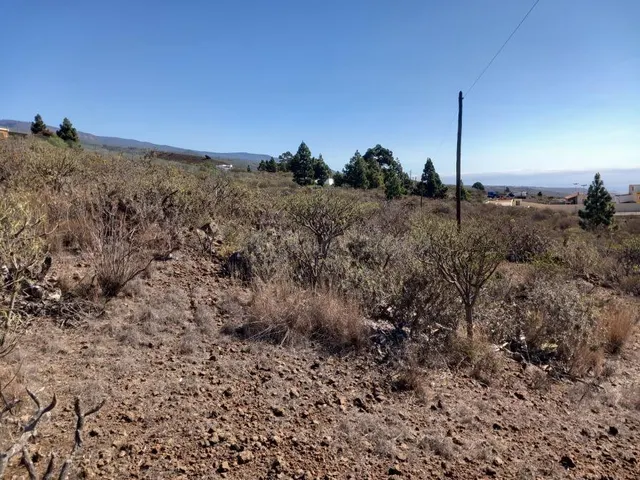 Bonito terreno en zona las Chozas, Granadilla de Abona - foto 3