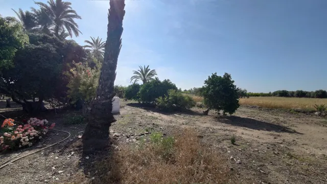 SE VENDE CASA DE CAMPO CON 42.000 M2 DE PARCELA. — 26