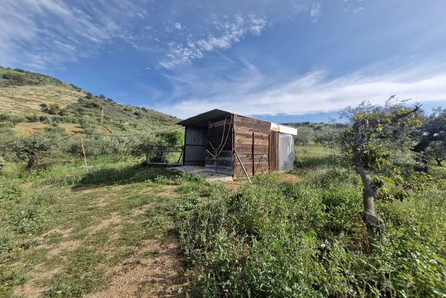 Finca rústica 3 habitaciones 162m² en venta - South of spain — 23