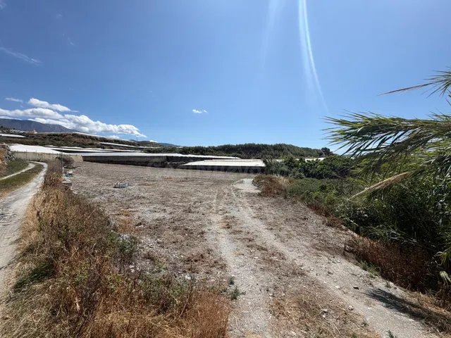 Tu terreno en el campo, a un paso de Motril. - foto 3