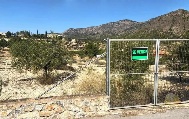 PARCELA PARA CONSTRUIR - foto 3