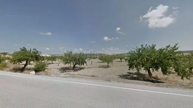 Terreno rural en venta - Torremendo - foto 4