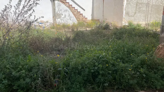 Terreno urbano en venta en Iniesta, Cuenca - foto 4