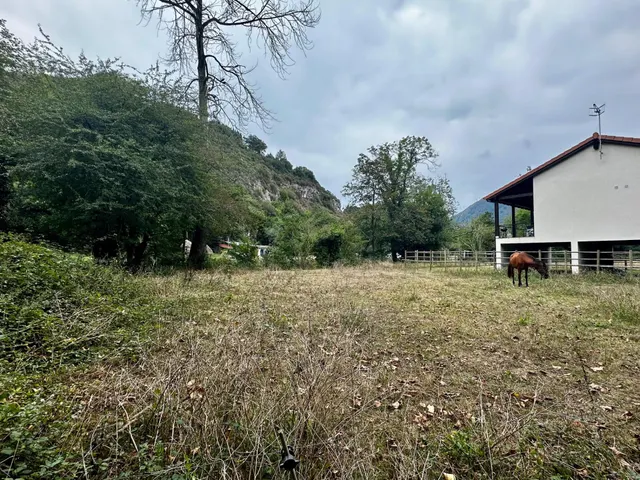 FINCA EDIFICABLE A 10 KM DE LA PLAYA — 12