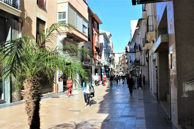 Chalet con 7 anegadas rodeado de naturaliza situado en Gandia zona Marxuquera — 18