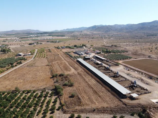 Gran explotación ganadera en lorca: capacidad para 760 cabezas y finca agrícola en producción — 7