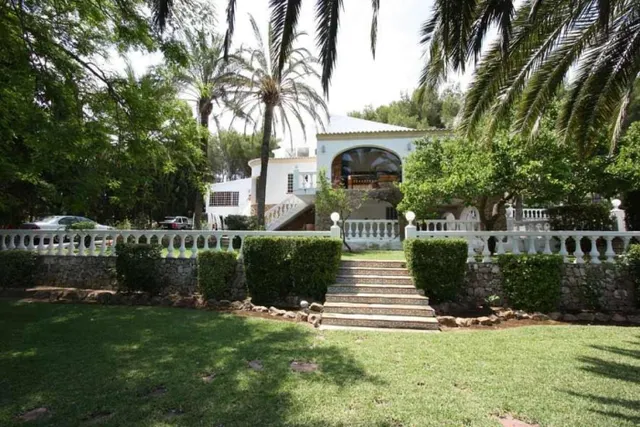 Magnifica finca — 3