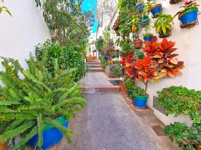 Adosado 3 habitaciones 115m² en venta - Costa Del Sol — 26
