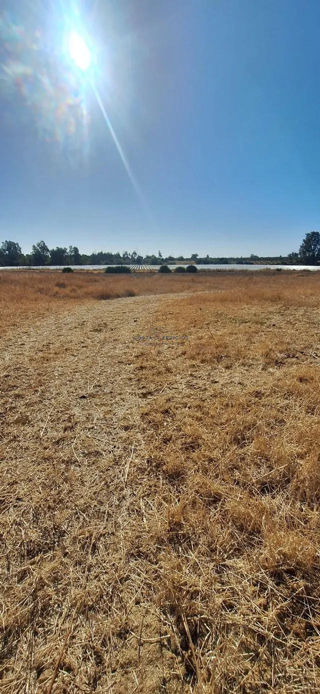 Terreno agrario 1 Hectarea — 3