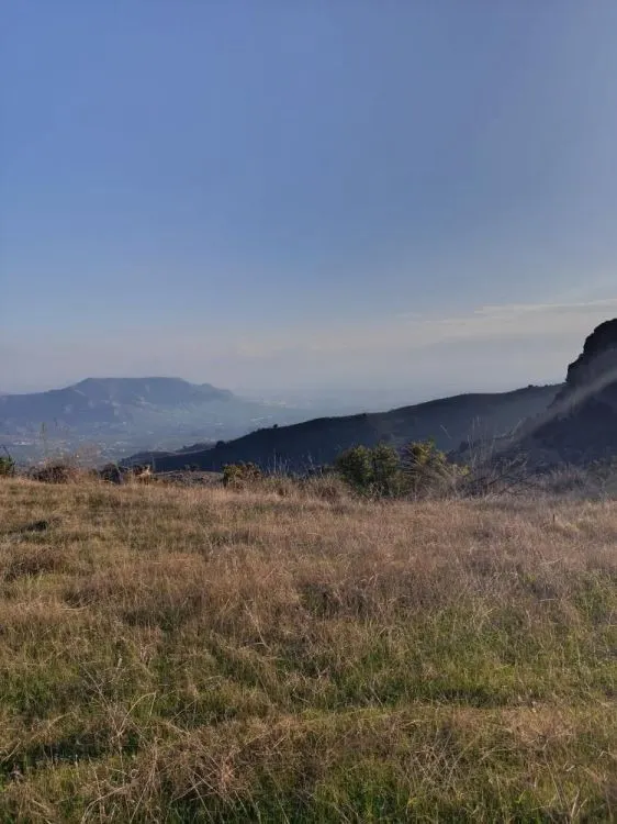 Parcela en venta - Alora pueblo — 19
