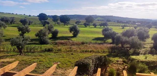 SE VENDE VILLA EN CAMPO DE GOLF GARDEN EN ARCOS DE LA FRONTERA — 22