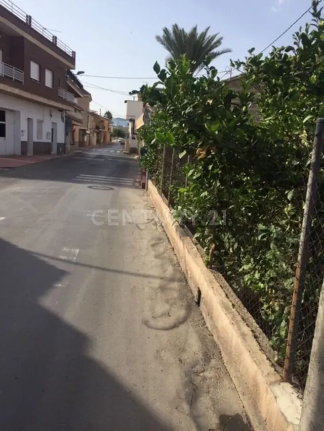 Terreno rural en venta - Aledo - foto 2