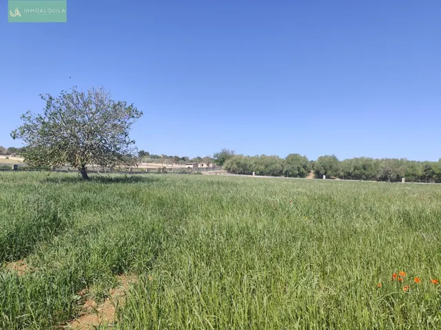 Finca en Venta Ariany - foto 3