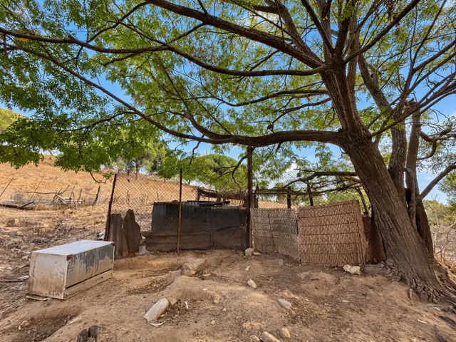 Finca rústica de 18.444 m2 con pozo y construcción catastrada en Alcalá de los Gazule — 15
