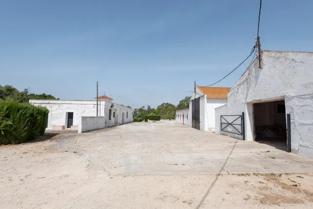 Cortijo en la zona de patría, Vejer de la Frontera — 36