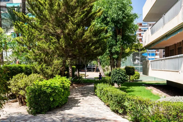 OPORTUNIDAD EN VENTA DE PISO DE 2 DORMITORIOS EN PLAYA DE SAN JUAN (ALICANTE) A 8 MINUTOS ANDANDO DE LA PLAYA — 11