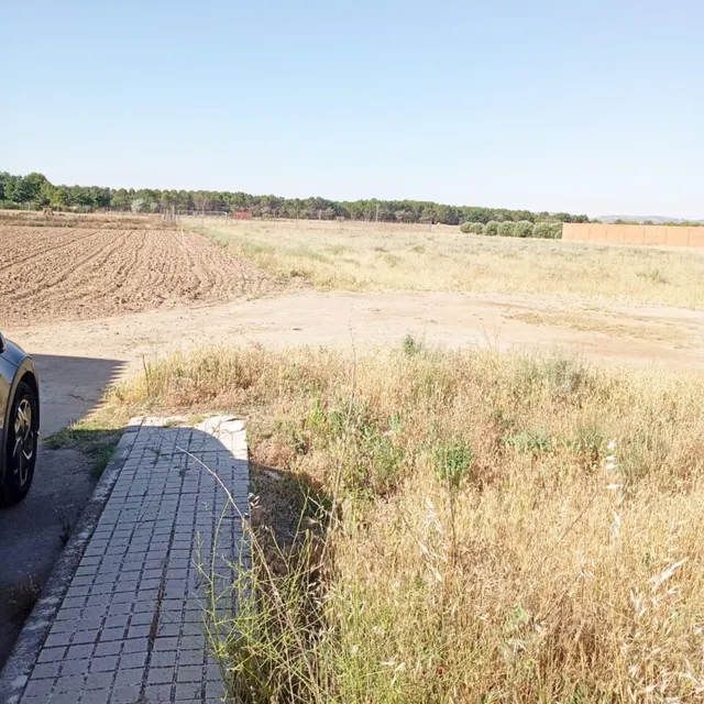 LILLO: Tu refugio en la naturaleza a un paso de este hermoso - foto 5