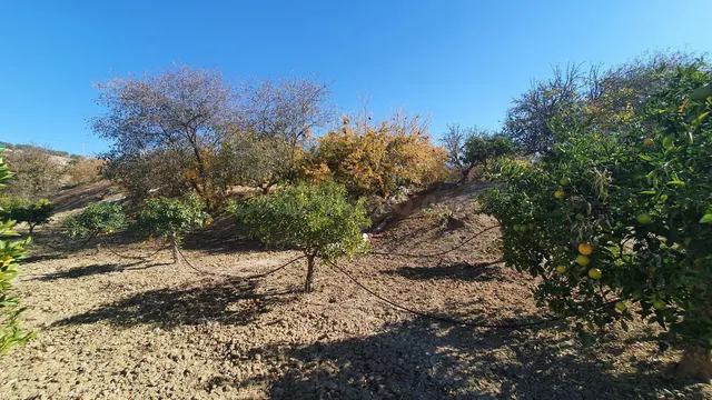 Parcela en venta - Costa del Sol - foto 5