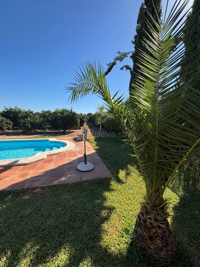 ✨ ¡FINCA RÚSTICA EN CANTILLANA! - foto 5