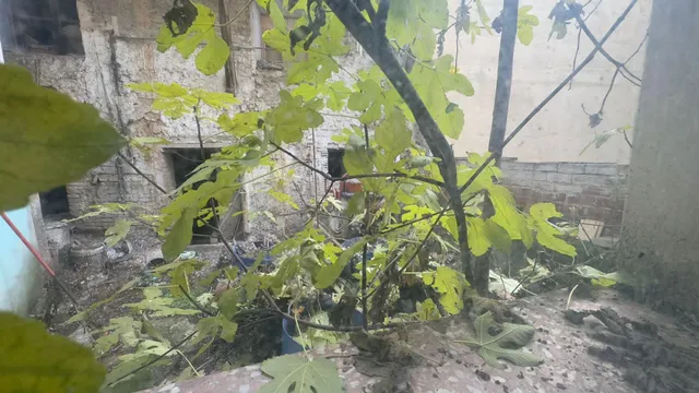 Casa de pueblo para rehabilitar — 7