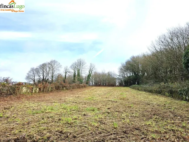 FINCA URBANIZABLE DE 1088m EN LUGO - foto 3