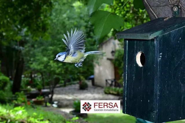PRECIOSA CASA RURAL EN BENAMAHOMA — 40