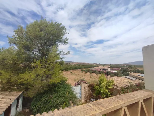 Casa tradicional reformada con terraza solárium en Pinoso (Alicante) — 7