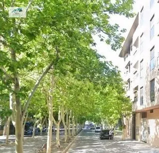 Venta Piso en Almansa (Albacete)
