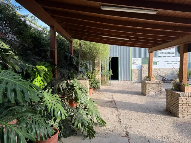Viñedo de 24,40ha 1300m2 naves y 400m2 restaurante — 42