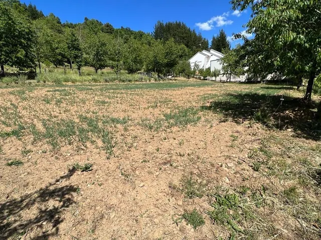 OPORTUNIDAD DE ADQUIRIR UN TERRENO EN UNA DE LAS ZONAS RURAL - foto 2