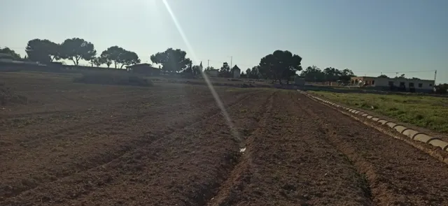 PARCELA EN VALVERDE — 14
