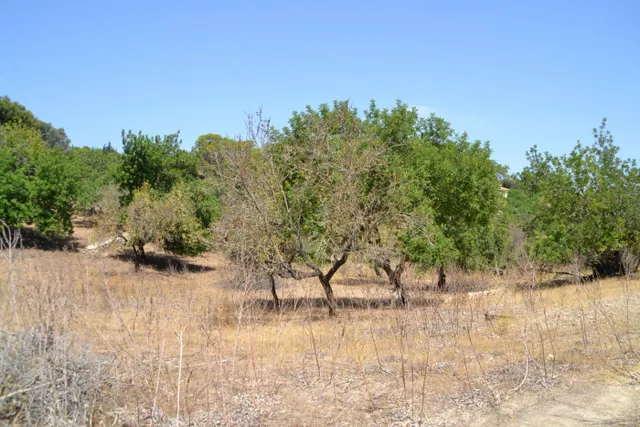 Finca rústica en Campanet — 8