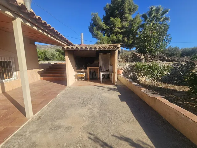 SE VENDE FINCA DE REGADIO CON GRAN CASA EN LA COSTERA, ALHAM - foto 3