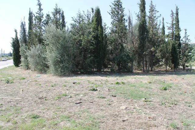 Terreno Industrial en Olesa de Montserrat en Venta o Alquiler — 6