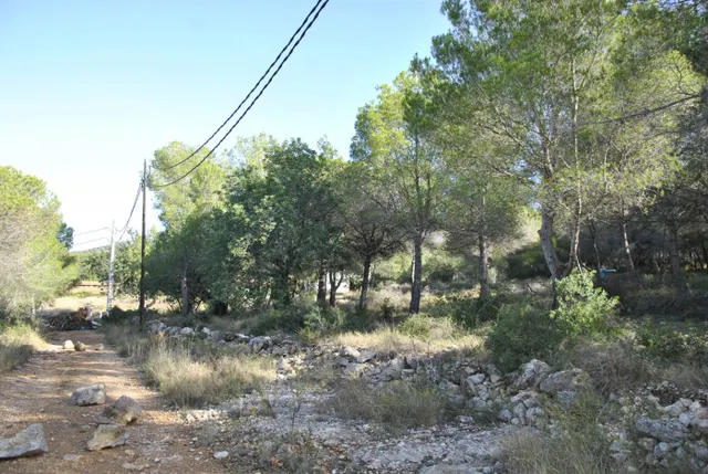 Parcela Rústica en el municipio de Cubelles, 5.560 mts2 Corral d'en Cona — 19