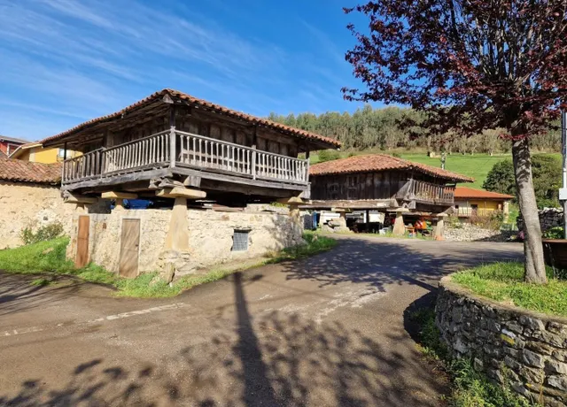 Parcela de 5.255 m2 en marinas – las regueras | a 15 minutos de oviedo — 20