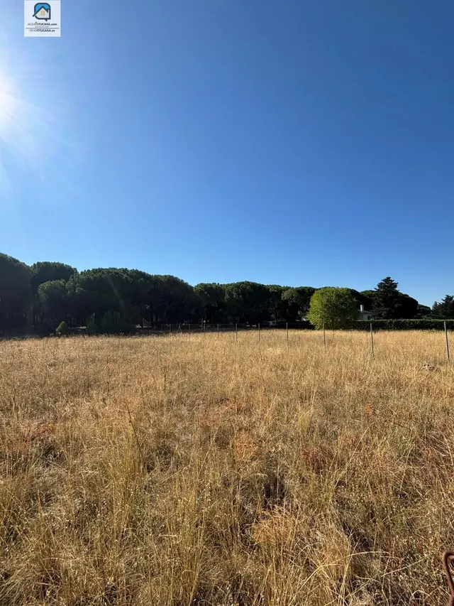 Parcela en urbanización dehesa de peñalba — 6