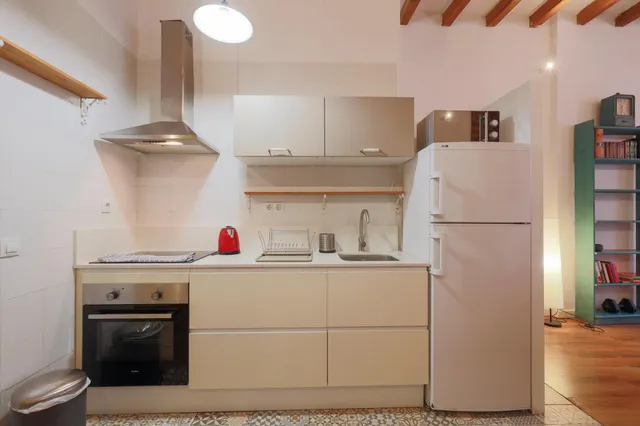 Fantastico loft con terraza Cerca del Palau de la Musica — 8