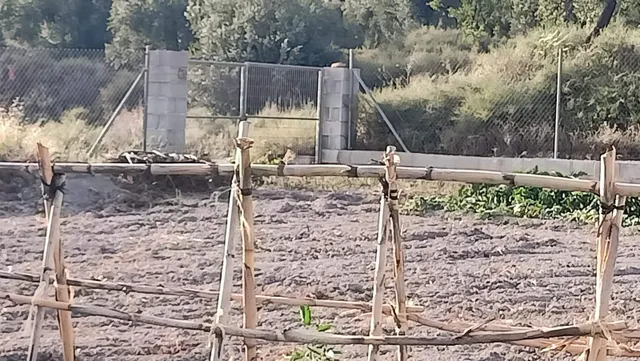 LÚCAR( ALMERÍA ). VENTA DE CORTIJO CON TERRENO. - foto 2