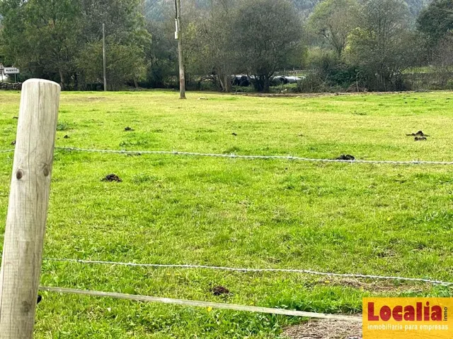 Interesante suelo urbano de 8 mil m² en Ruente - foto 2