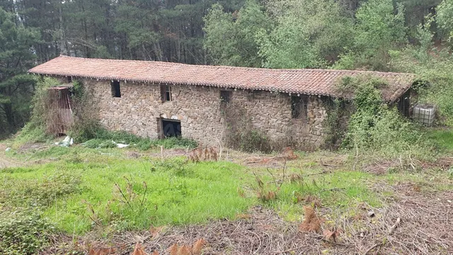 14 Hectáreas de terreno rural con cuadra/pajar de 300 m2. Ju